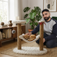 Man petting cat sleeping in cat tree hammock